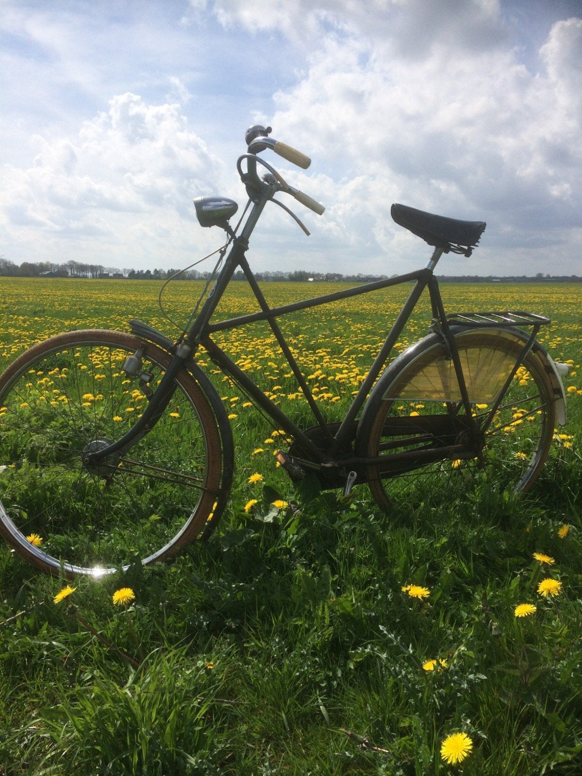 Gazelle  kruisframe  frame maat 66 cm, 59 cm of meer, Ophalen