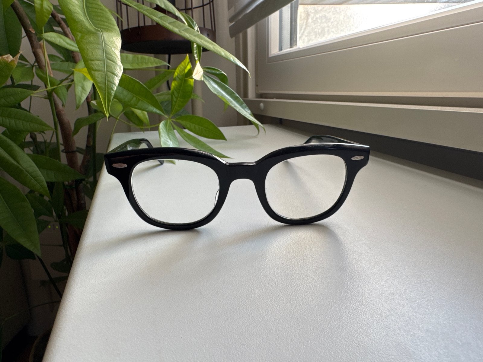 Barton Perreira bril op sterkte L+1,5 R+1,75 + rayban zonbr, Zwart, Zo goed als nieuw, Bril, Ophalen