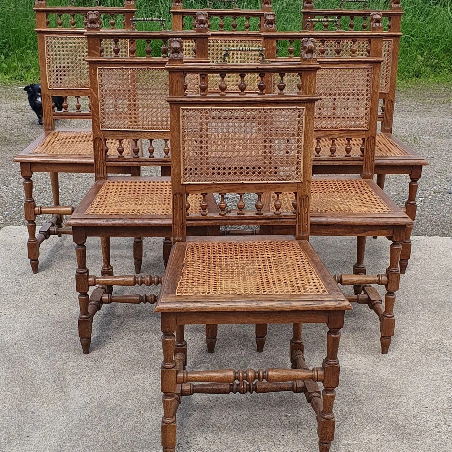 Set 6 mechelse stoelen rieten zitting eiken, Ophalen