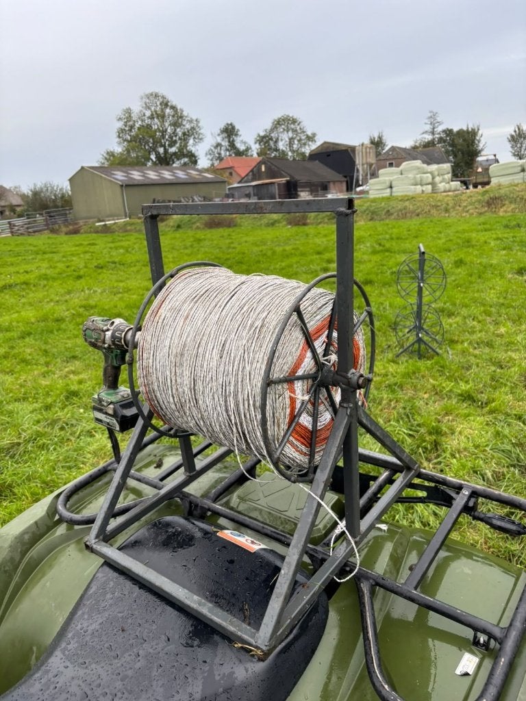 schrikdraad opwinder, Mannelijk, Schaap