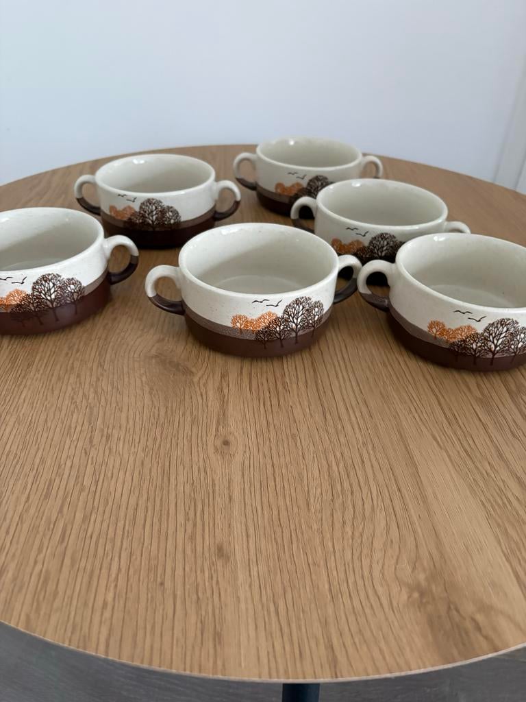 6 vintage soepkommen jaren '60-'70, Huis en Inrichting, Keuken | Servies, Gebruikt, Keramiek, Ophalen of Verzenden, Kom(men)