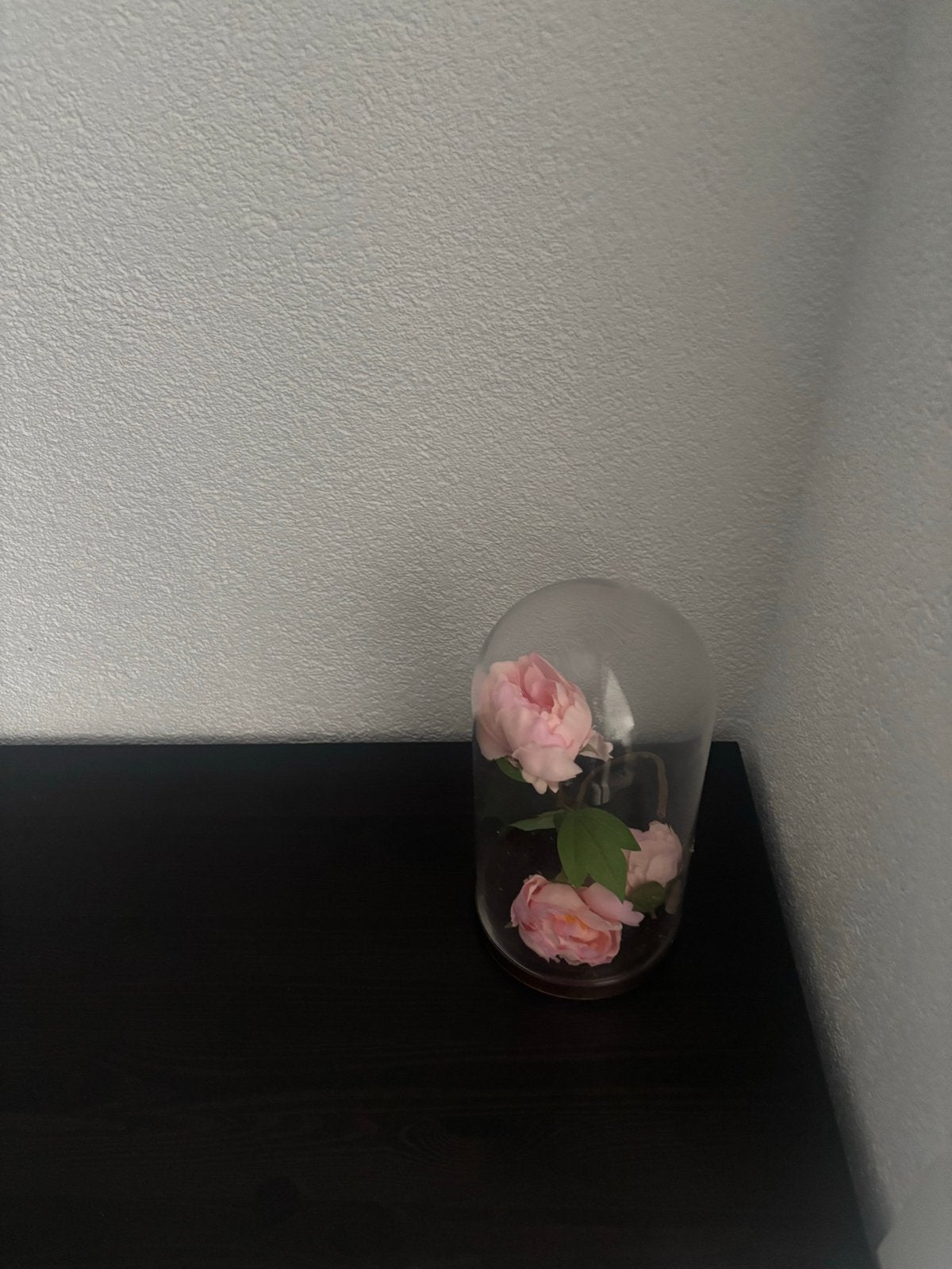 Glazen stolp met roze kunst Roos - Decoratieve blikvanger, Huis en Inrichting, Glas, Ophalen, Zo goed als nieuw