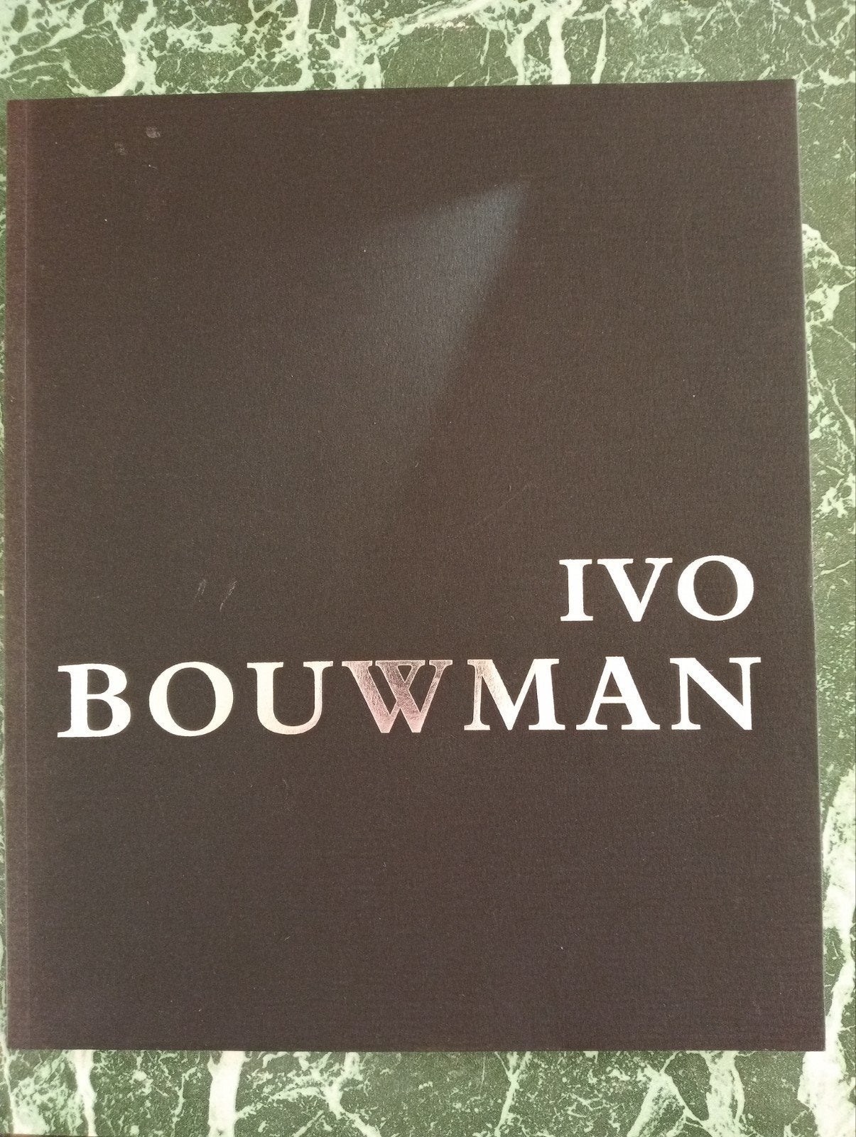 Ivo Bouwman - Kunstboek met diverse schilderijen, Ophalen of Verzenden, Zo goed als nieuw, Overige onderwerpen, Ivo Bouwman