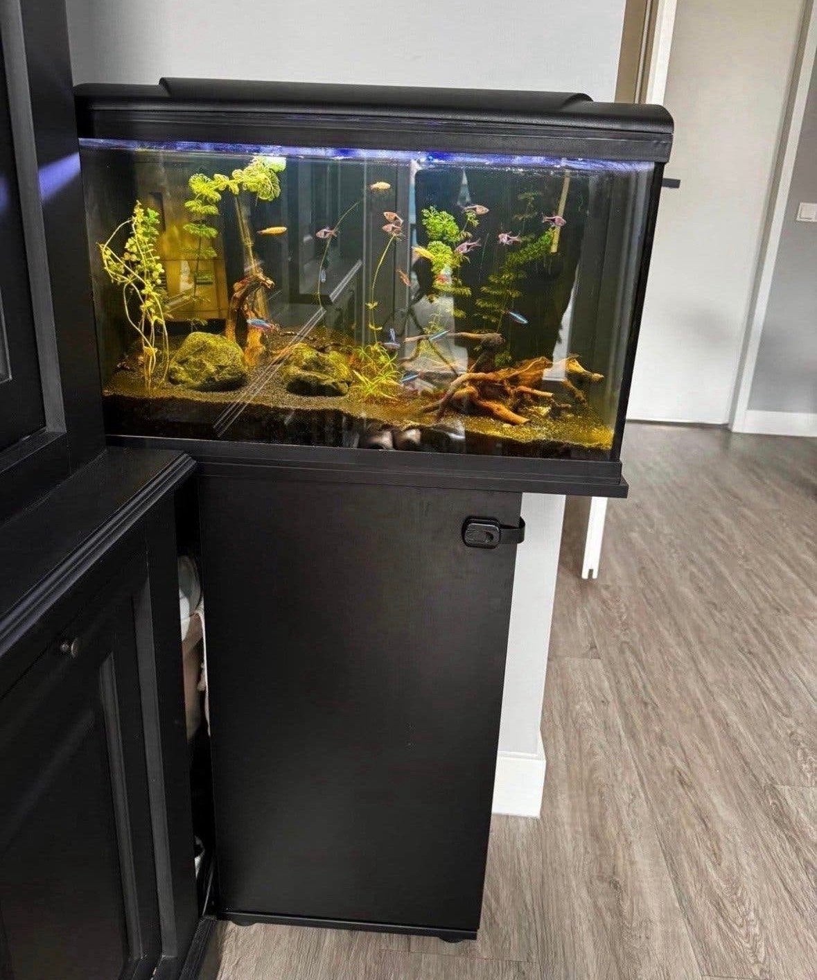 Aquarium te koop! Met een mooi meubel, Dieren en Toebehoren, Ophalen of Verzenden, Gebruikt, Aquariummeubel