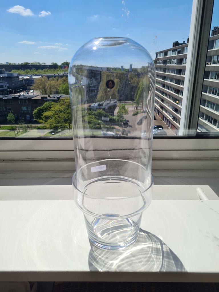 Nieuwe grote glazen open stolp, 50 cm hoog, Ophalen of Verzenden, Nieuw