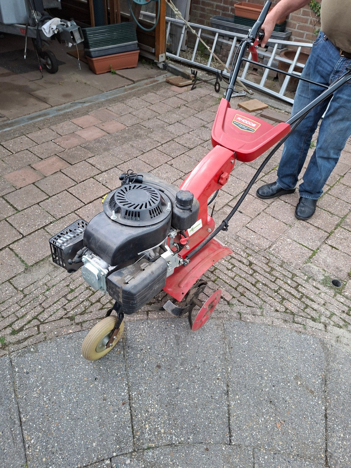 Tuinfrees in goede staat., Ophalen of Verzenden, 50 cm of meer