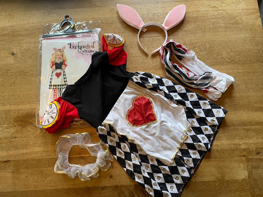 Alice in wonderland (carnavals/verkleed set), Ophalen, Gebruikt, Meisje