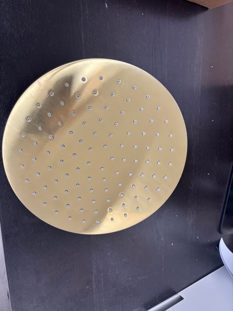 Nieuwe Regn hoofddouche rond 25 cm geborsteld, Ophalen, Nieuw, Douche