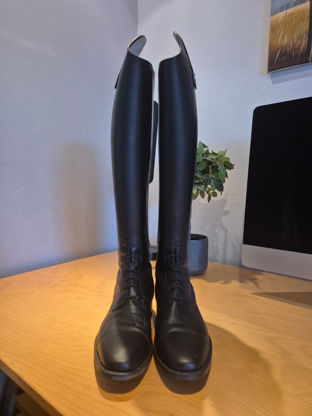 De Niro Tricolore Amabile Pro 02 43 a s, Ophalen, Dressuur, Zo goed als nieuw, Zwart