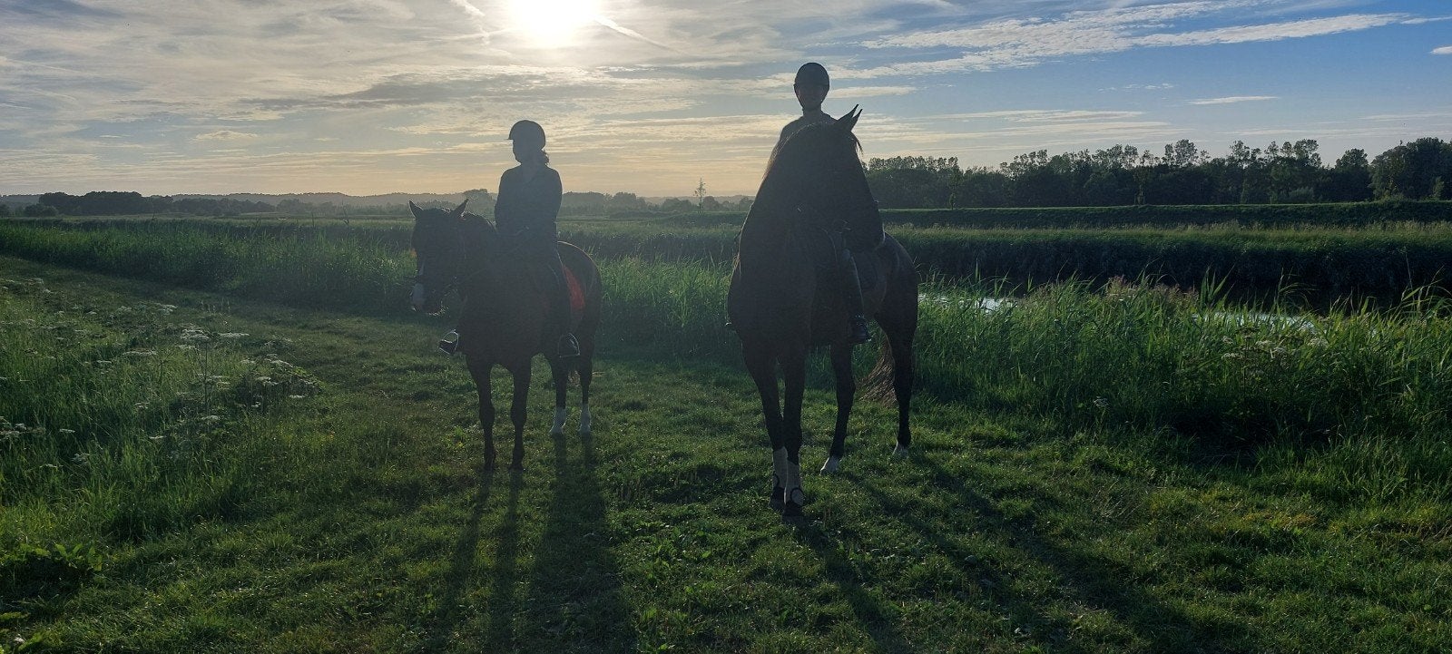 Stalling gezocht voor 2 ruinen omgeving alkmaar, Twee personen, Ticket of Toegangskaart