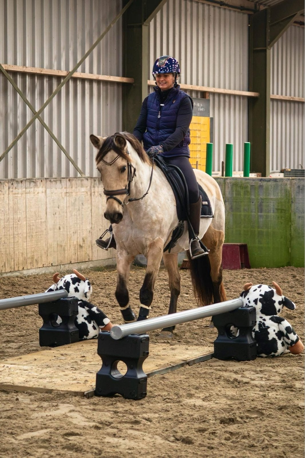 Te koop Valk Merrie 1.51, Dieren en Toebehoren, Pony's, Merrie, B, E pony (1.48m - 1.57m), Recreatiepony, 11 jaar of ouder, Gechipt