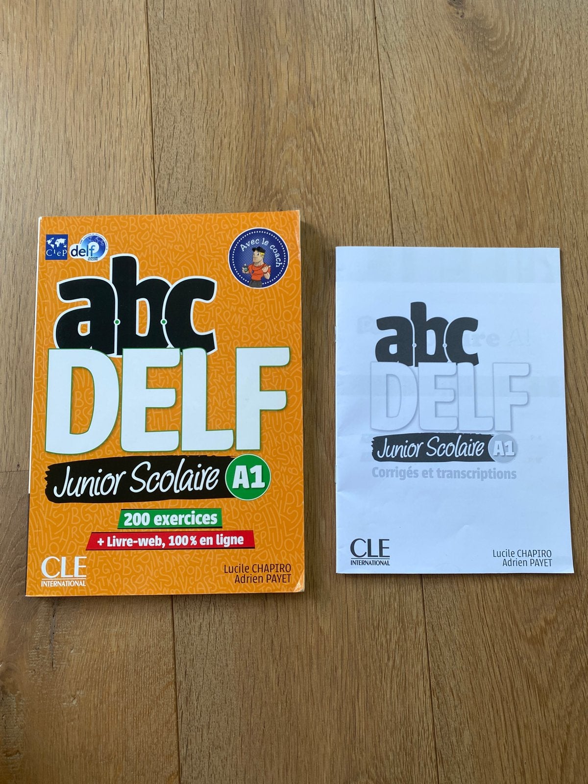 ABC Delf Junior Scolaire A1 + DVD en antwoorden, Ophalen, Zo goed als nieuw, Overige niveaus, Frans