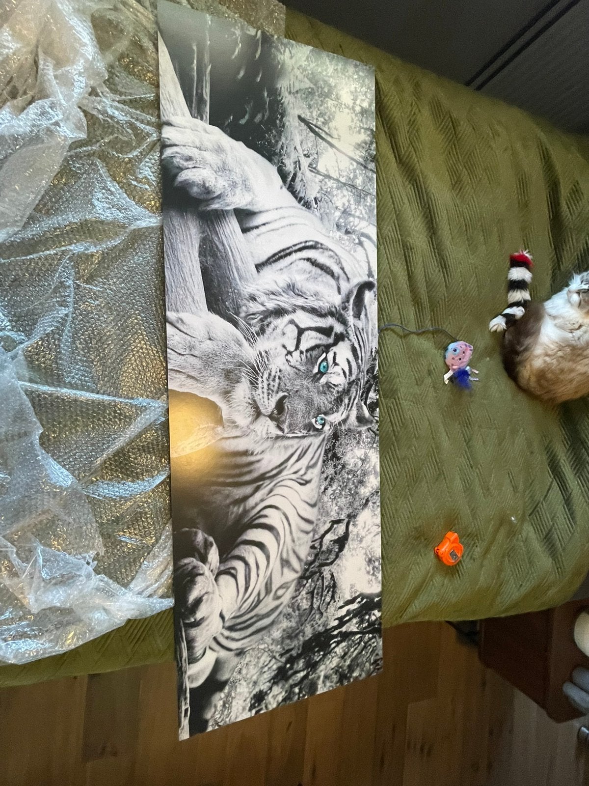 Schilderij van tijger op hardboard, Antiek en Kunst, Ophalen, Hout, Dieren