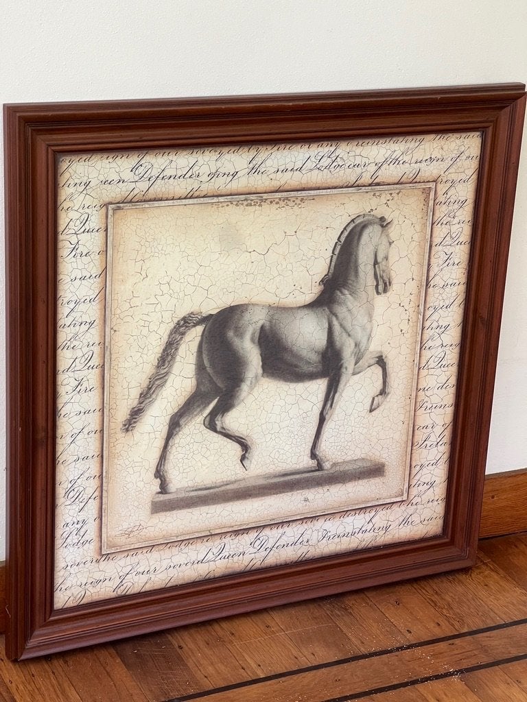 Paard, ingelijst, achter glas, Ophalen of Verzenden, Klassiek, Ingelijst, Dieren