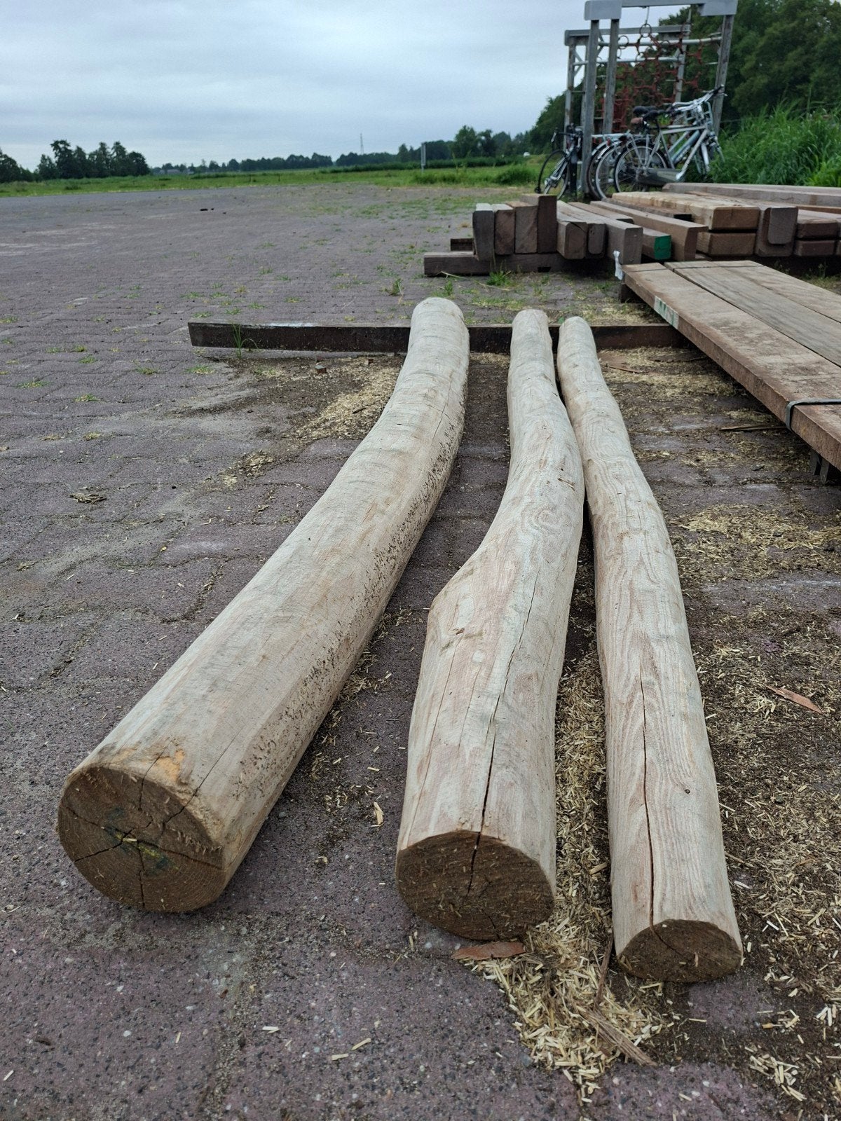 (Weide) Palen waarschijnlijk kastanjehout, Ophalen, Palen, Zo goed als nieuw, Hardhout