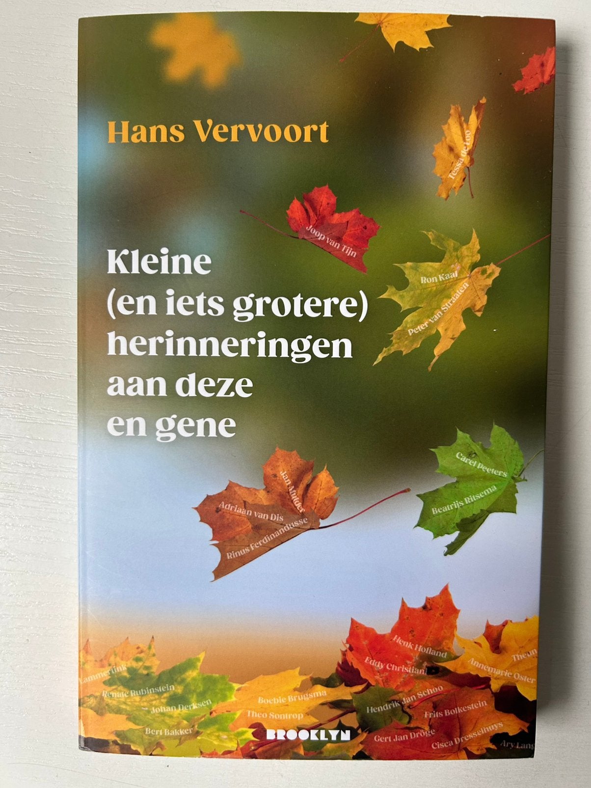 Kleine (en iets grotere) herinneringen aan deze en gene, Ophalen of Verzenden, Zo goed als nieuw, Hans Vervoort