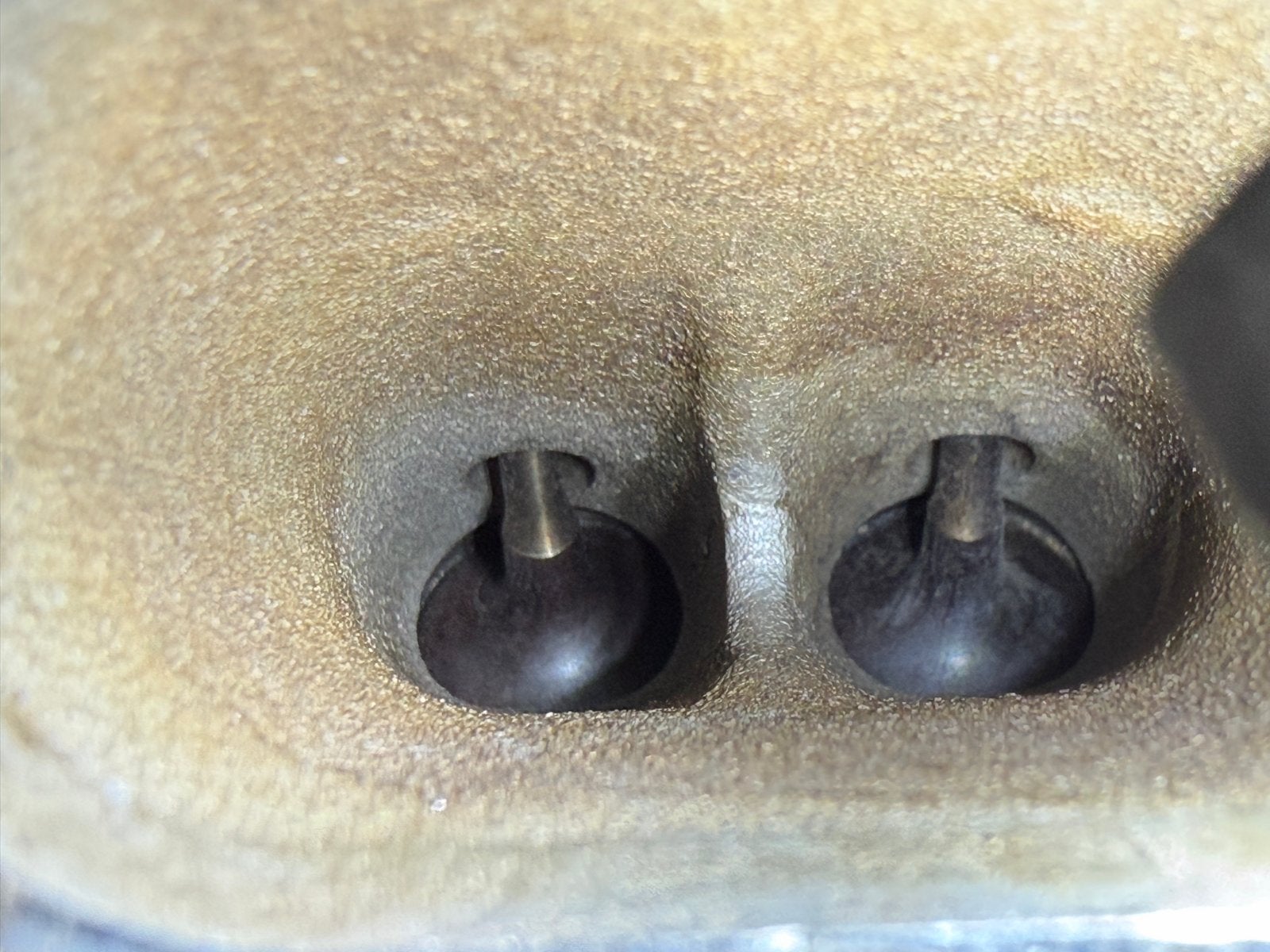 WALNOOTSTRALEN INLAATKLEPPEN – RHENEN | KD CARCARE, Ophalen of Verzenden