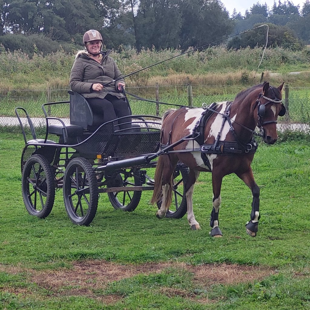 Pony koets en tuig enkelspan te koop, Dieren en Toebehoren, Ophalen, Overige disciplines, Mentuig, Pony