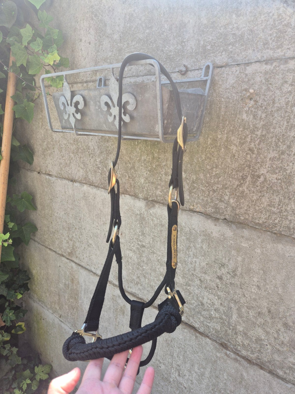 paarden spullen te koop, Ophalen of Verzenden