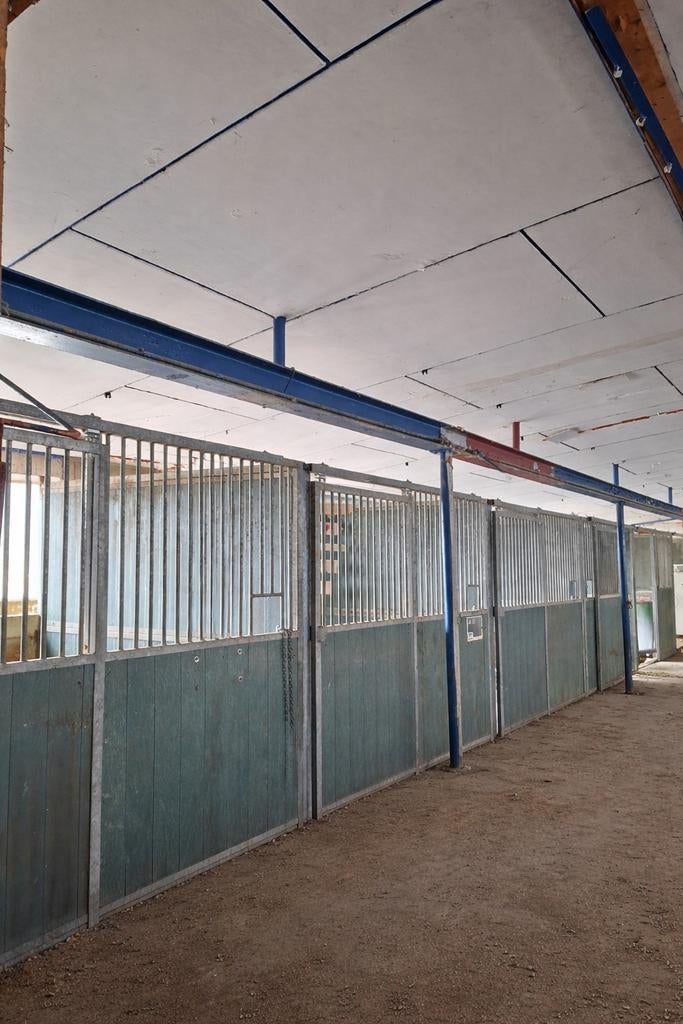 Paardenstallen/ paardenstal/ paardenbox/ vee/ paard/ hok, Dieren en Toebehoren