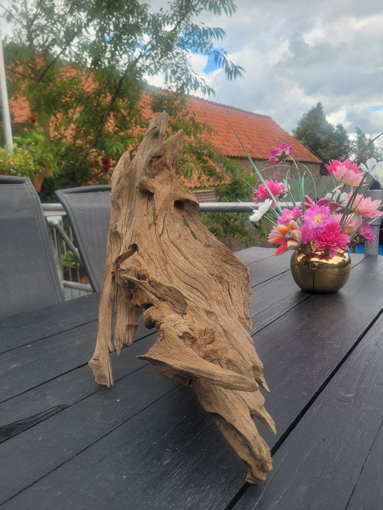 Kienhout driftwood mangrove hout aquarium terrarium, Ophalen of Verzenden, Zo goed als nieuw, Plant(en), Steen of Hout