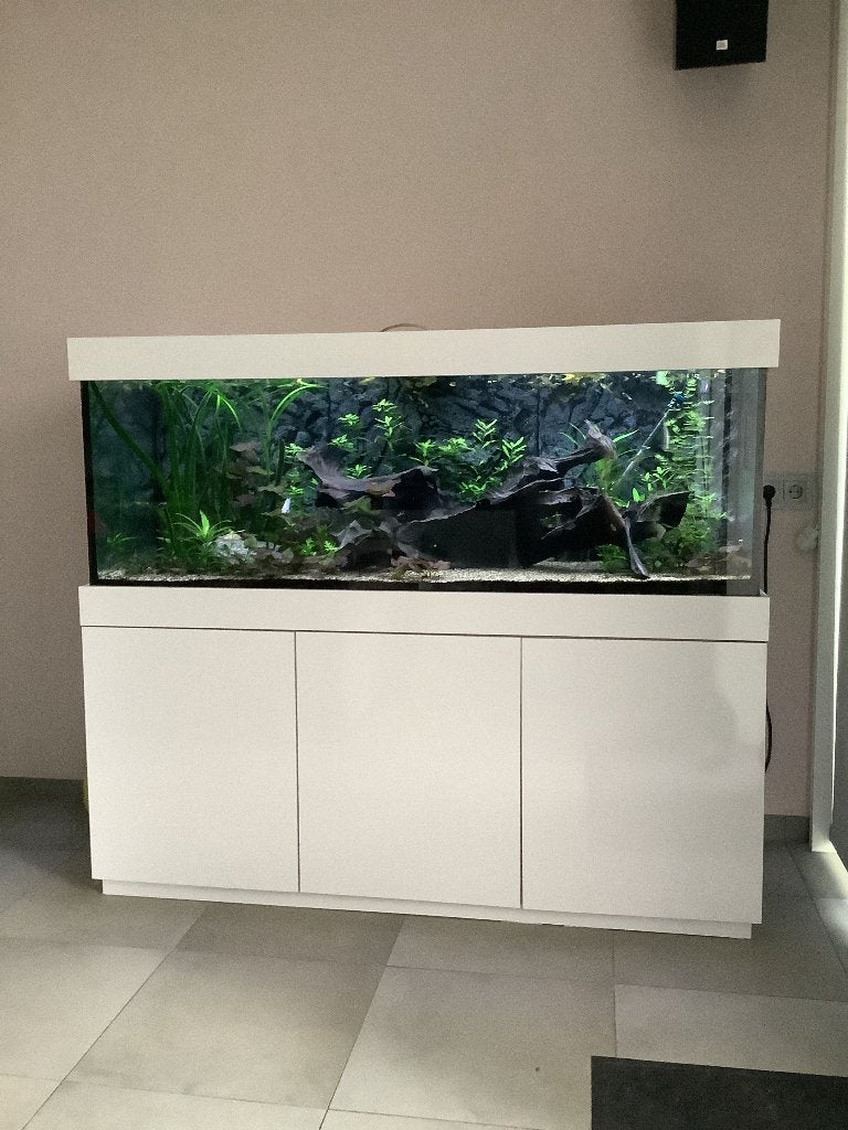 Hoogglans wit aquarium 160 x 60 x 60 cm, Dieren en Toebehoren, Vissen | Aquaria en Toebehoren, Ophalen, Gebruikt, Overige merken