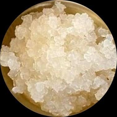 Te koop verse waterkefir korrels, Ophalen of Verzenden