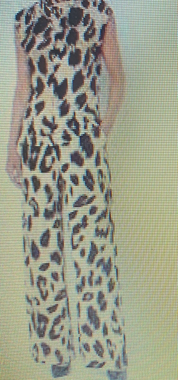 Claudis strater broek en top M, Maat 38/40 (M), Bruin, Verzenden, Claudia strater