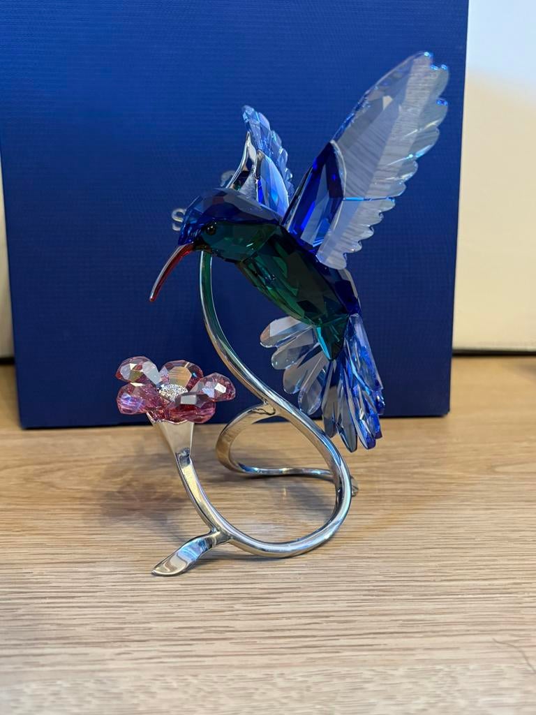 Swarovski kolibri, Ophalen of Verzenden, Zo goed als nieuw, Figuurtje
