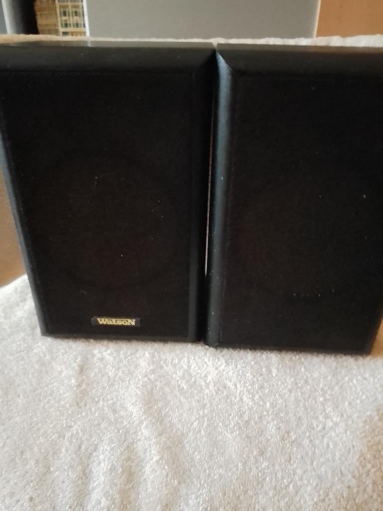 2 Luidsprekerboxen Watson, 1oo Watt, Kleur zwaart, Overige merken, Ophalen of Verzenden, Zo goed als nieuw, 60 tot 120 watt