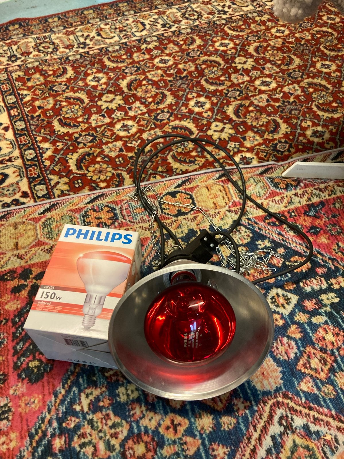 Infrarood warmte  lamp nestje hondjes of poesjes, Ophalen of Verzenden, Gebruikt