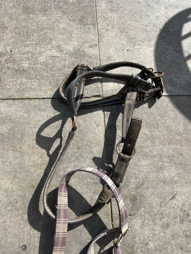 Diversen paardenspulletjes d pony - welsh cob, Verzenden, Gebruikt, Overige soorten