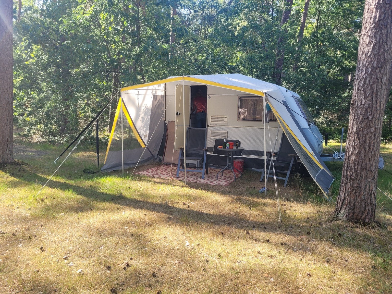 Kip Sunline 36EK incl. staanplaats Bospark Lageloeër Duinen, Kip, Tot en met 2, Treinzit, 4 tot 5 meter