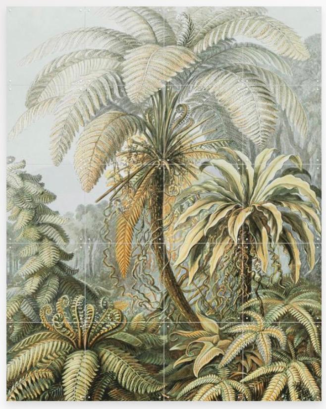 IXXI Ferns Colour Wandsysteem 120x160 cm, Groen, Gebruikt, Papier/karton, Ophalen of Verzenden