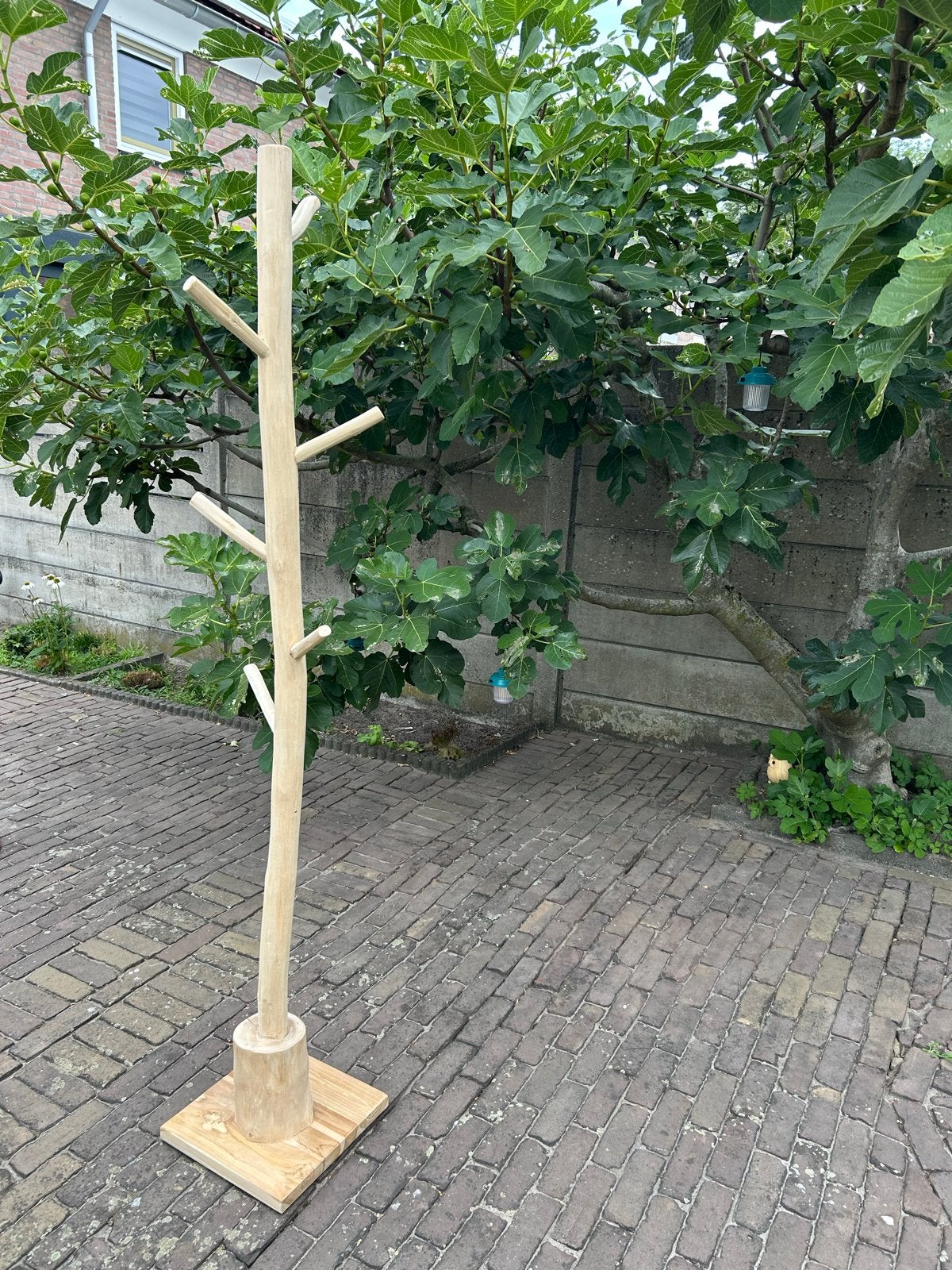 Boom-kapstok van onbehandeld teakhout, 180 cm hoog, Ophalen, Zo goed als nieuw, Staande kapstok, 150 tot 200 cm