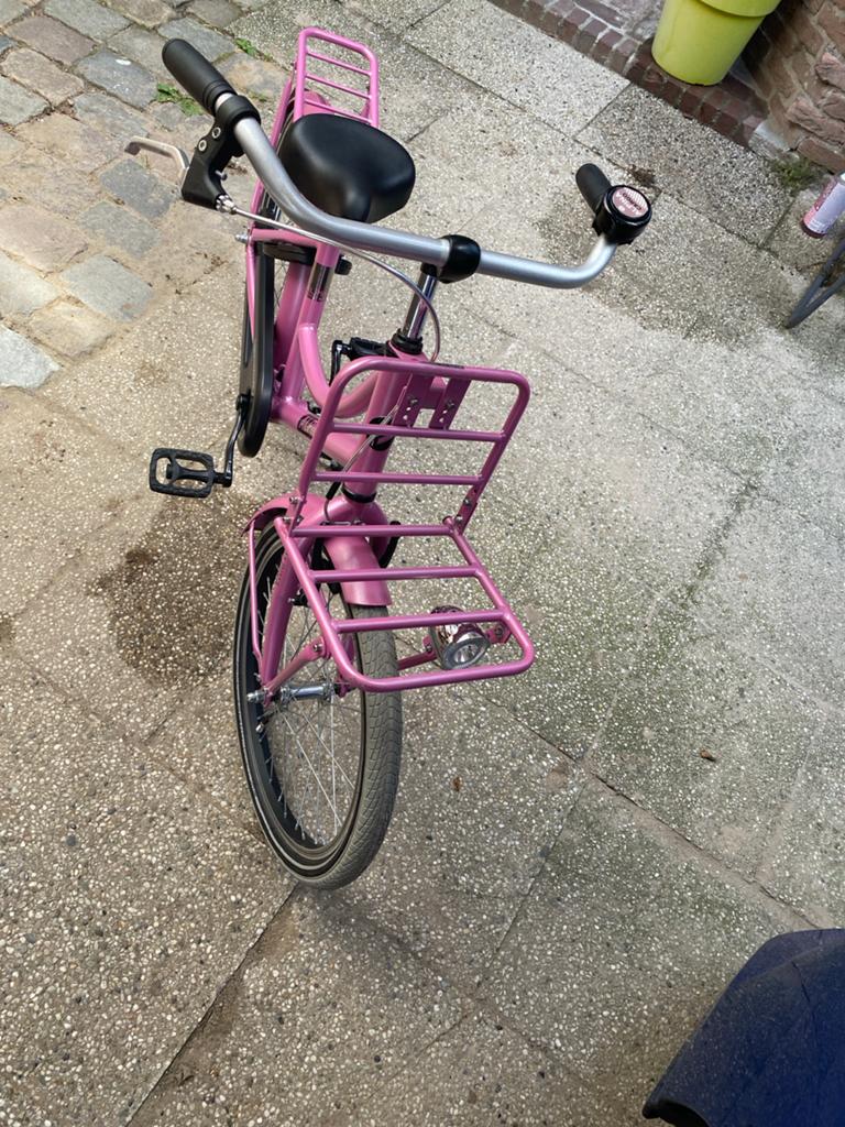 Alpina fiets 20 inch - Roze meisjesfiets met voordrager, Fietsen en Brommers, Fietsen | Meisjes, Terugtraprem, Gebruikt, Ophalen of Verzenden