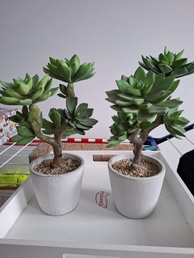 2 nep vetplanten in witte pot, Binnen, Onderhoudsvrij, Kunstplant, Ophalen of Verzenden