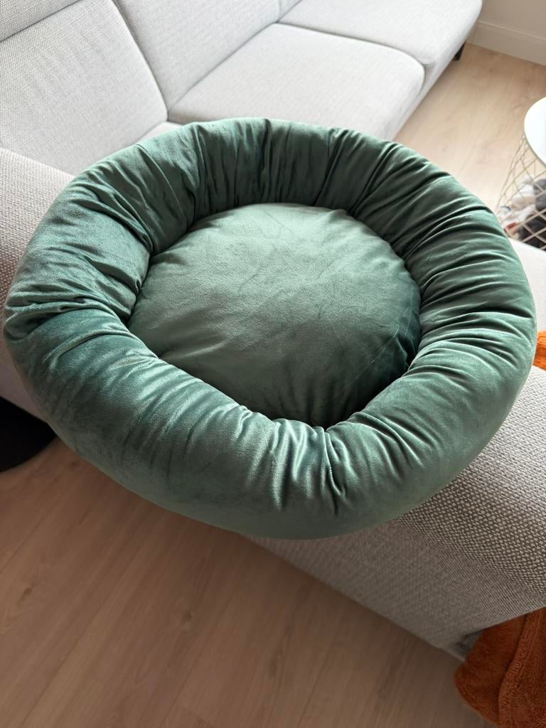 Dierenkussen groen, Ophalen of Verzenden, Nieuw