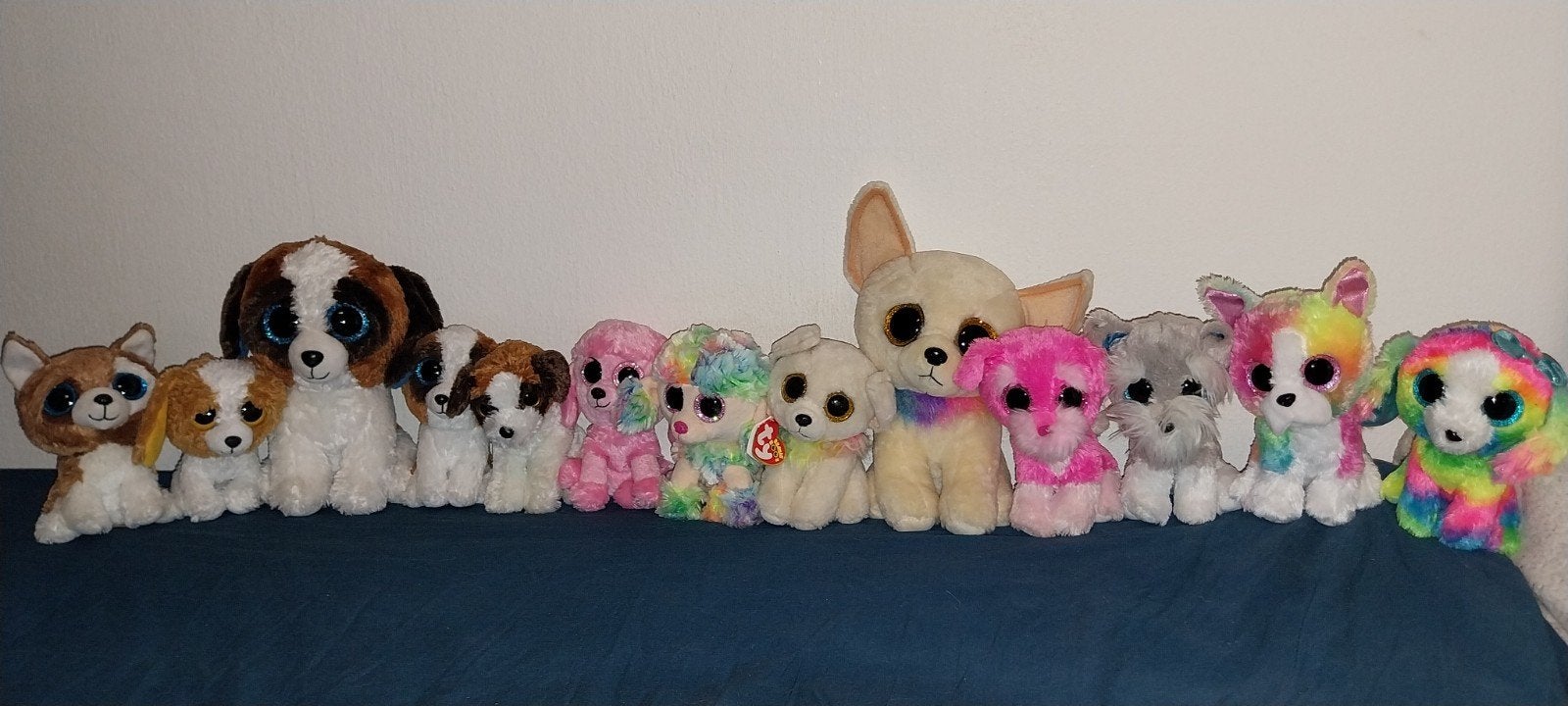 Ty knuffels Honden Collectie Groot en middel, Overige karakters, Korrelvulling, Zo goed als nieuw, Middelgroot (20 tot 80 cm)