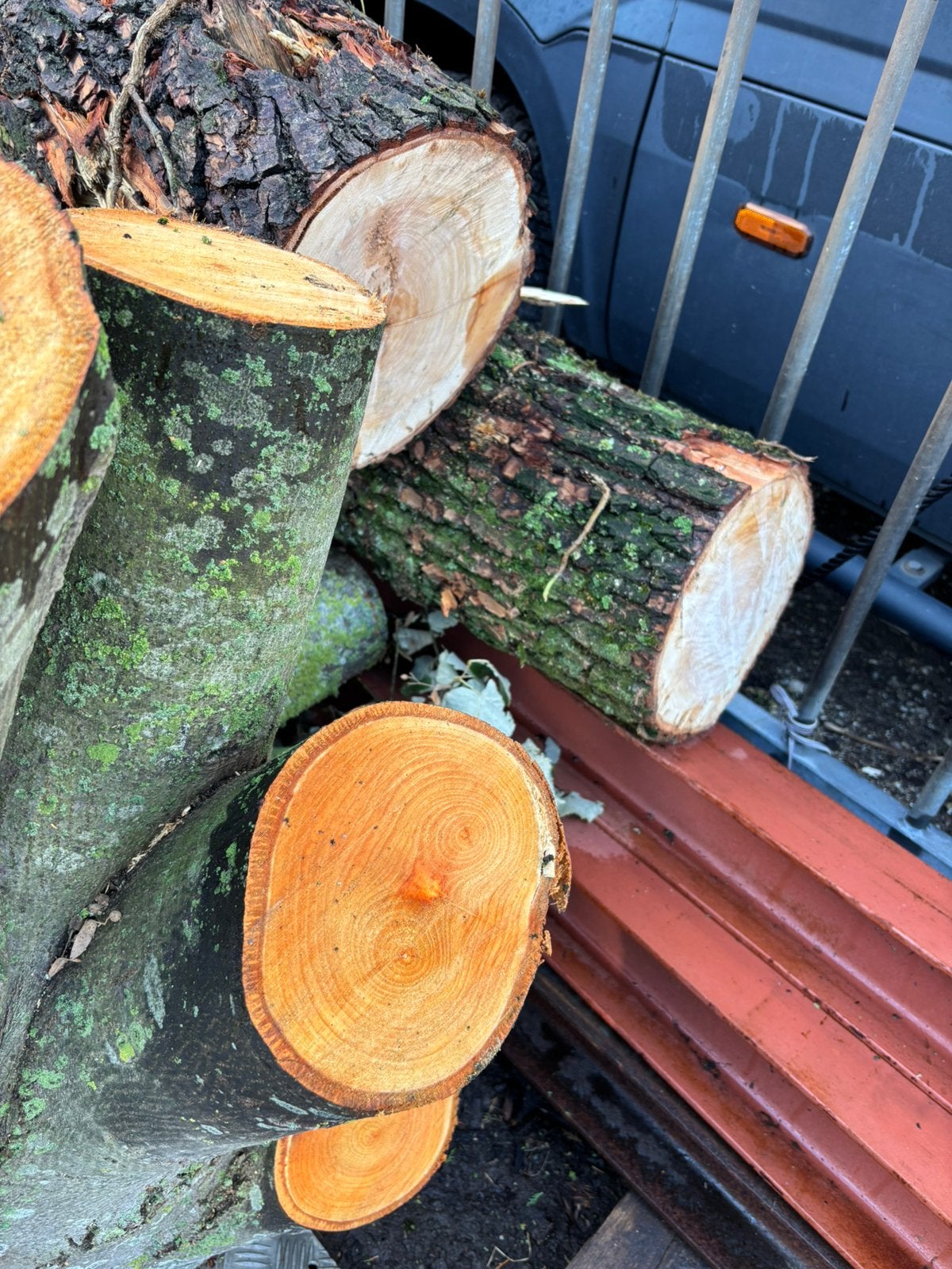 3 en halve kuub . Haardhout zeer mooi spul elzen, Minder dan 3 m³, Ophalen