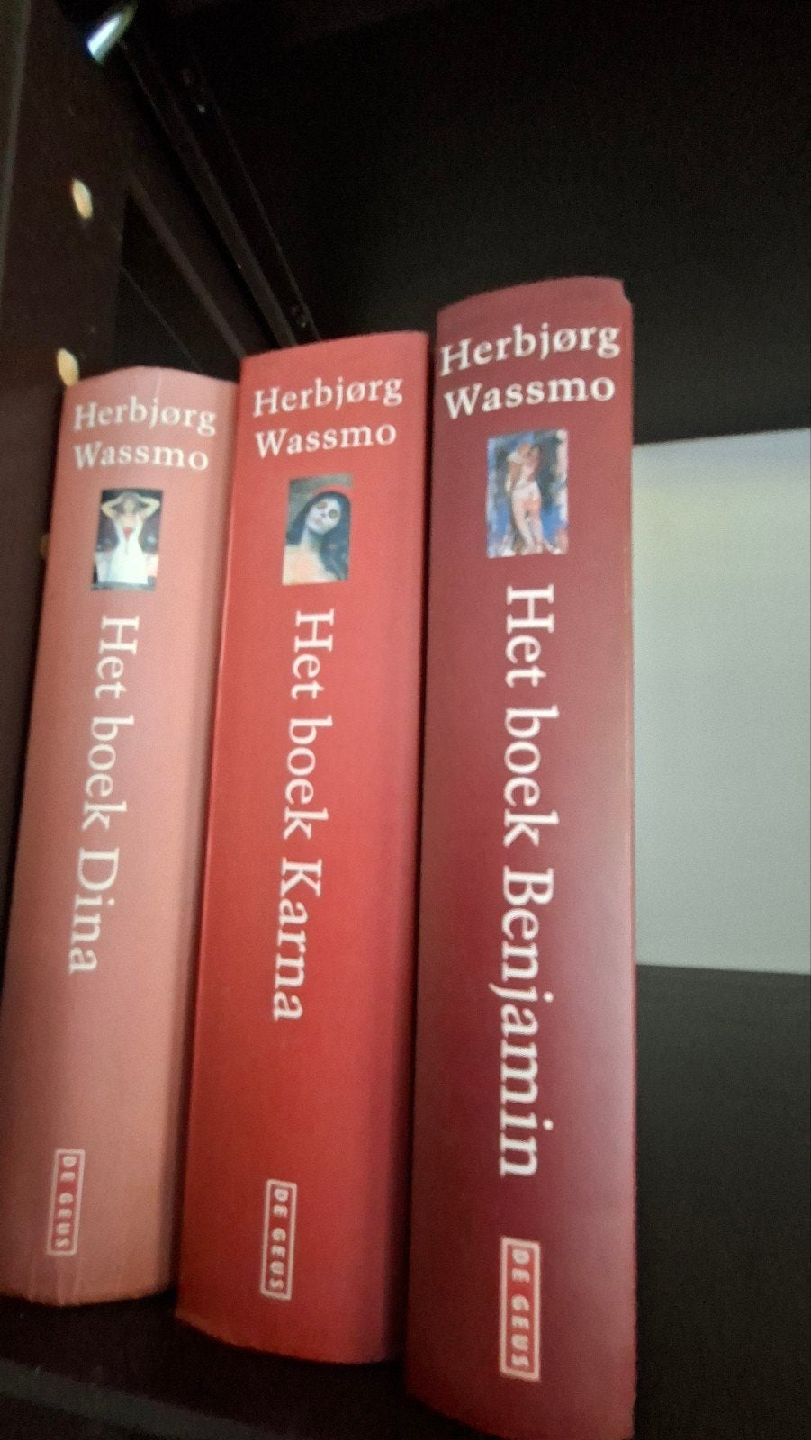 Herbjørg Wassmo Het boek Dina, Karna, Benjamin (serie van 3, Ophalen, Gelezen, Herbjørg Wassmo, Europa overig