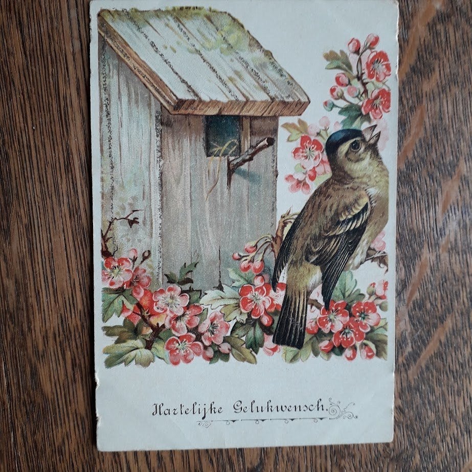 Verjaardagskaart ca 1910 / Gelukwensch / vogelhuisje / Mus?, Verzamelen, Ophalen of Verzenden, Voor 1920, Ongelopen, Feest(dag)