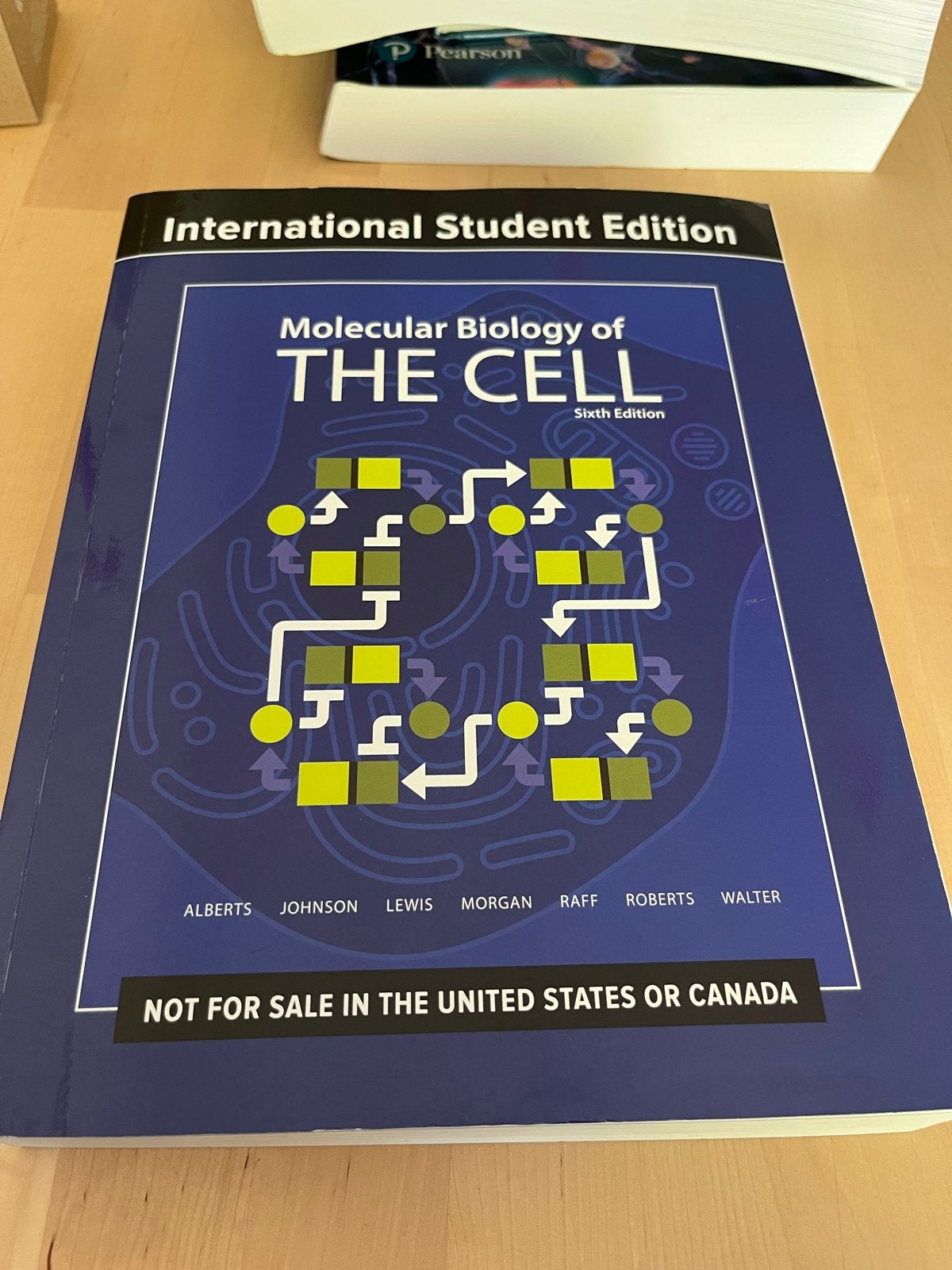Molecular Biology of THE CELL studieboek, Boeken, Studieboeken en Cursussen, Ophalen of Verzenden, Beta, Zo goed als nieuw, HBO