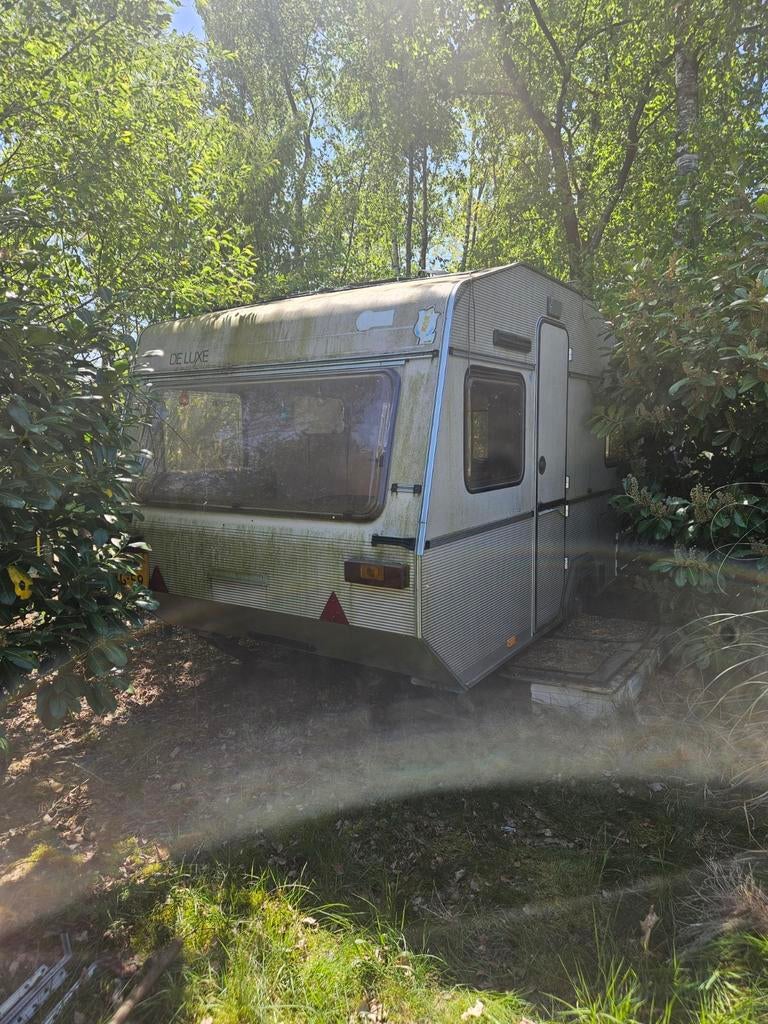 GERESERVEERD - Kip caravan deluxe 1985, Rondzit, Kip, Particulier, Tot en met 4