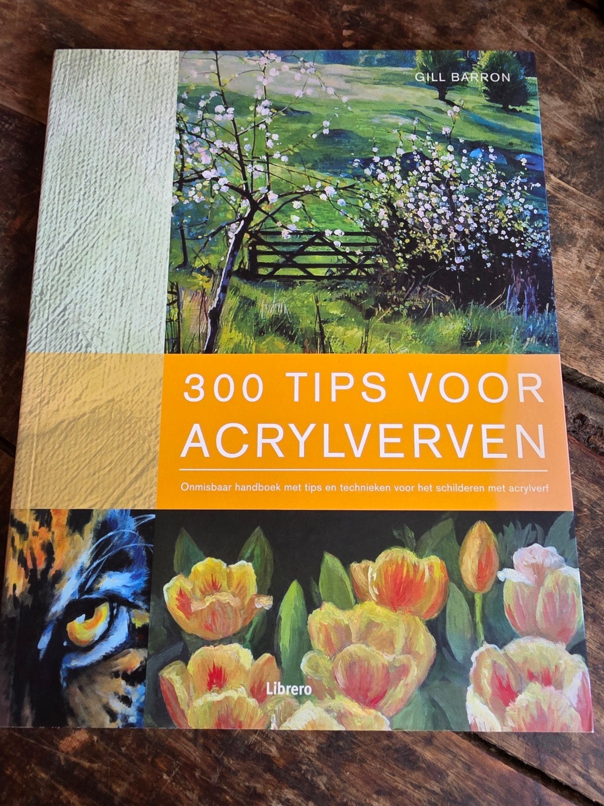 300 tips voor Acrylverven.., Ophalen of Verzenden, Zo goed als nieuw, Schilder- en Tekenkunst, Lexie Sundell, Gill Barron