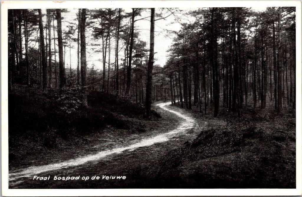 Veluwe - Eibertjespad (1951) 2x, Verzenden, 1940 tot 1960, Gelopen, Gelderland