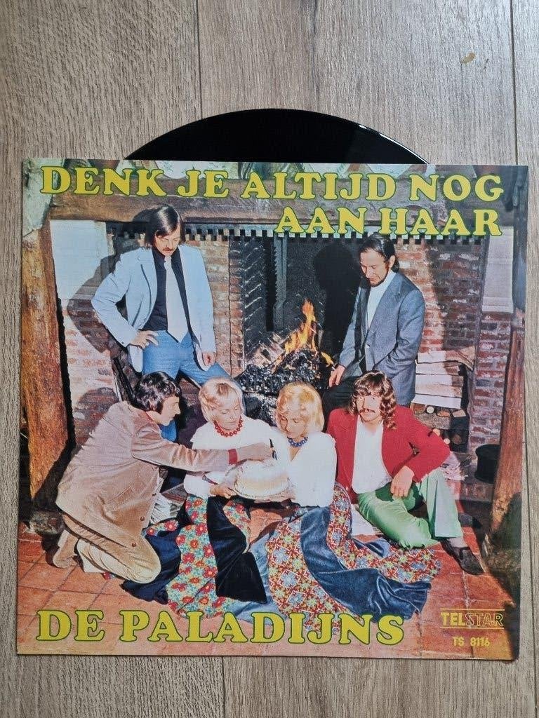De Paladijns  lp met Poster, Ophalen of Verzenden, Zo goed als nieuw, 12 inch, Levenslied of Smartlap