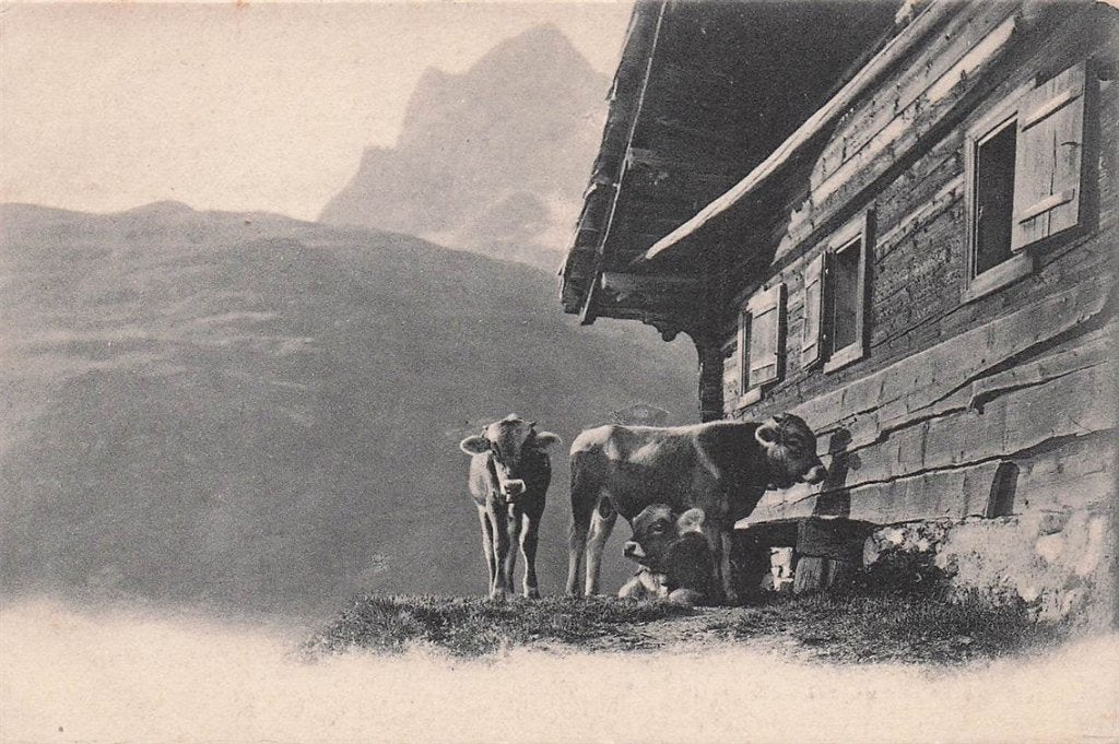 702-352-047 Suisse Schweiz, Verzenden, Voor 1920, Overig Europa