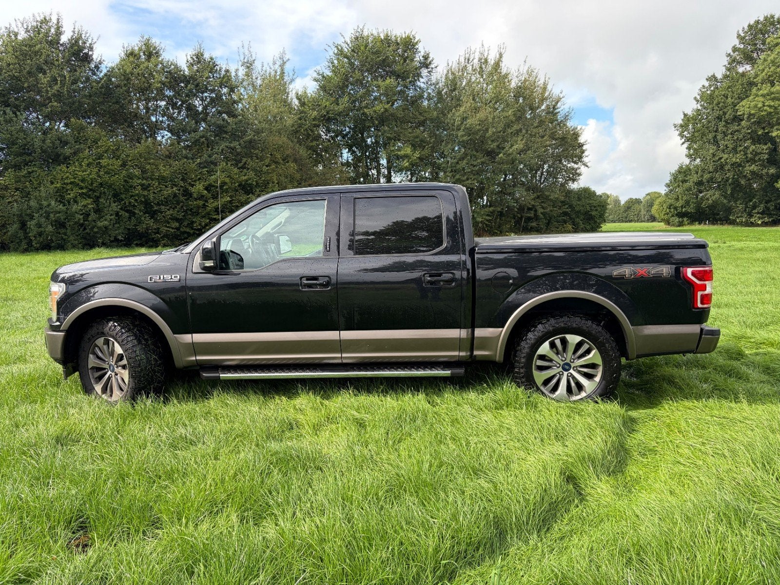 Ford F150 2019, Auto's, 370 pk, 2378 kg, Origineel Nederlands, Particulier