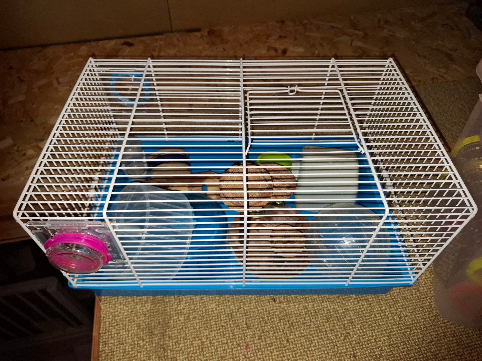 Hamsterkooi met veel toebehoren, Kooi, Minder dan 75 cm, Muis, Ophalen